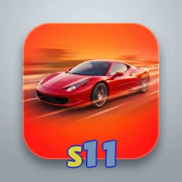 s11